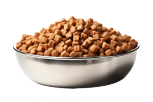 AI generated Dog Food in Steel Dish with Transparent Background. AI png