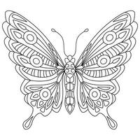 Butterfly Coloring Book. Black and white Moth Coloring page vector illustration