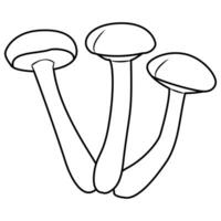 Honey agaric. Fresh shimeji mushrooms. Black and white isolated. Vintage. Vector illustration