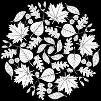 Autumn mandala with autumn leaves on black background. vector