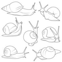 Garden snails Set line art. Vector elements isolated on white background.