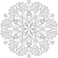 Autumn mandala with autumn leaves on white background. vector