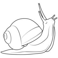 Garden snail line art. Vector elements isolated on white background.