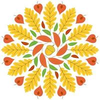 Autumn mandala with autumn leaves on white background. vector