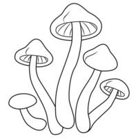 Honey agaric. Fresh shimeji mushrooms. Black and white isolated. Vintage. Vector illustration