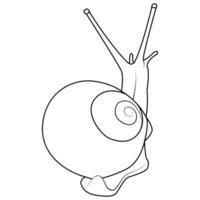 Garden snail line art. Vector elements isolated on white background.