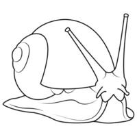 Garden snail line art. Vector elements isolated on white background.