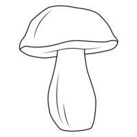 Mushrooms. Bolete, Black and white isolated. Vintage. Coloring page vector