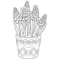 muscari en un maceta contorno iconos negro y blanco colorante página vector