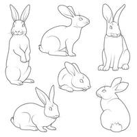 Cute bunny rabbit outline sketch. line art in different poses. vector