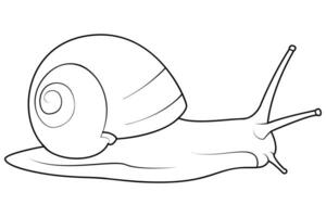 Garden snail line art. Vector elements isolated on white background.