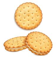 Realistic Detailed 3d Sandwich Cookies Set. Vector