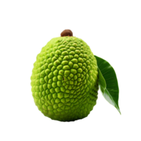 ai gerado annona fruta isolado em transparente fundo png