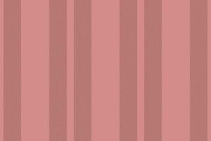 Vertical lines stripe background. Vector stripes pattern seamless fabric texture. Geometric striped line abstract design.