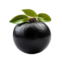 ai généré noir sapote isolé sur transparent Contexte png