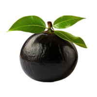 ai généré noir sapote isolé sur transparent Contexte png