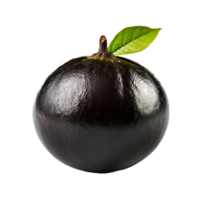 ai gegenereerd zwart sapote geïsoleerd Aan transparant achtergrond png