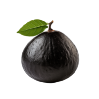 ai gegenereerd zwart sapote geïsoleerd Aan transparant achtergrond png