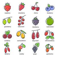 Berries Sign Color Thin Line Icons Set. Vector