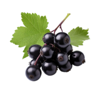 AI generated Blackcurrant isolated on transparent background png
