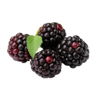 AI generated Blackberry isolated on transparent background png