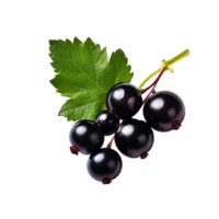 AI generated Blackcurrant isolated on transparent background png