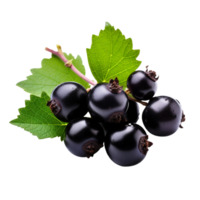 AI generated Blackcurrant isolated on transparent background png