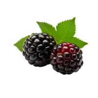 AI generated Blackberry isolated on transparent background png