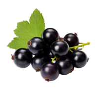 AI generated Blackcurrant isolated on transparent background png