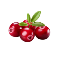 AI generated Cranberry isolated on transparent background png