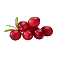 AI generated Cranberry isolated on transparent background png