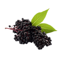AI generated Elderberry isolated on transparent background png