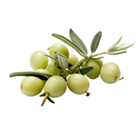 AI generated Fresh caperberries isolated on transparent background png