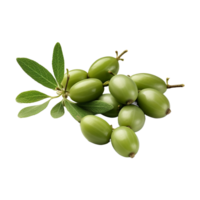 AI generated Fresh caperberries isolated on transparent background png