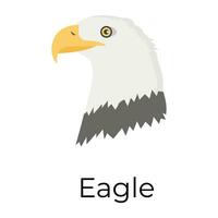 Trendy Eagle Concepts vector