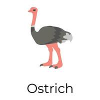 Trendy Ostrich Concepts vector