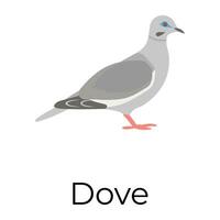 Trendy Dove Concepts vector