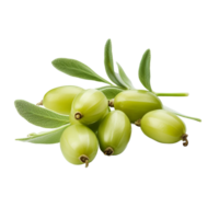 AI generated Fresh caperberries isolated on transparent background png