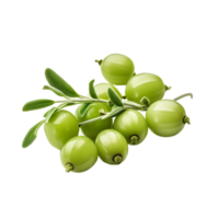 AI generated Fresh caperberries isolated on transparent background png