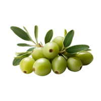 AI generated Fresh caperberries isolated on transparent background png