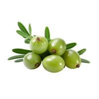 AI generated Fresh caperberries isolated on transparent background png