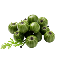 AI generated Fresh capers isolated on transparent background png