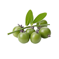 AI generated Fresh capers isolated on transparent background png