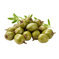 AI generated Fresh capers isolated on transparent background png