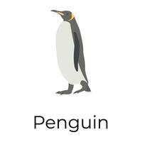 conceptos de pingüino de moda vector