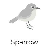 Trendy Sparrow Concepts vector