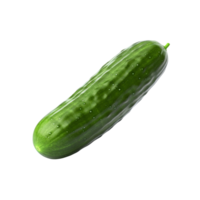 ai generado Fresco Pepino aislado en transparente antecedentes png