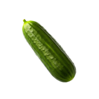 AI generated Fresh cucumber isolated on transparent background png