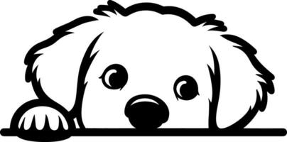 Golden Retriever Puppy Dog Peeking vector