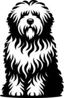 Old English Sheepdog vector